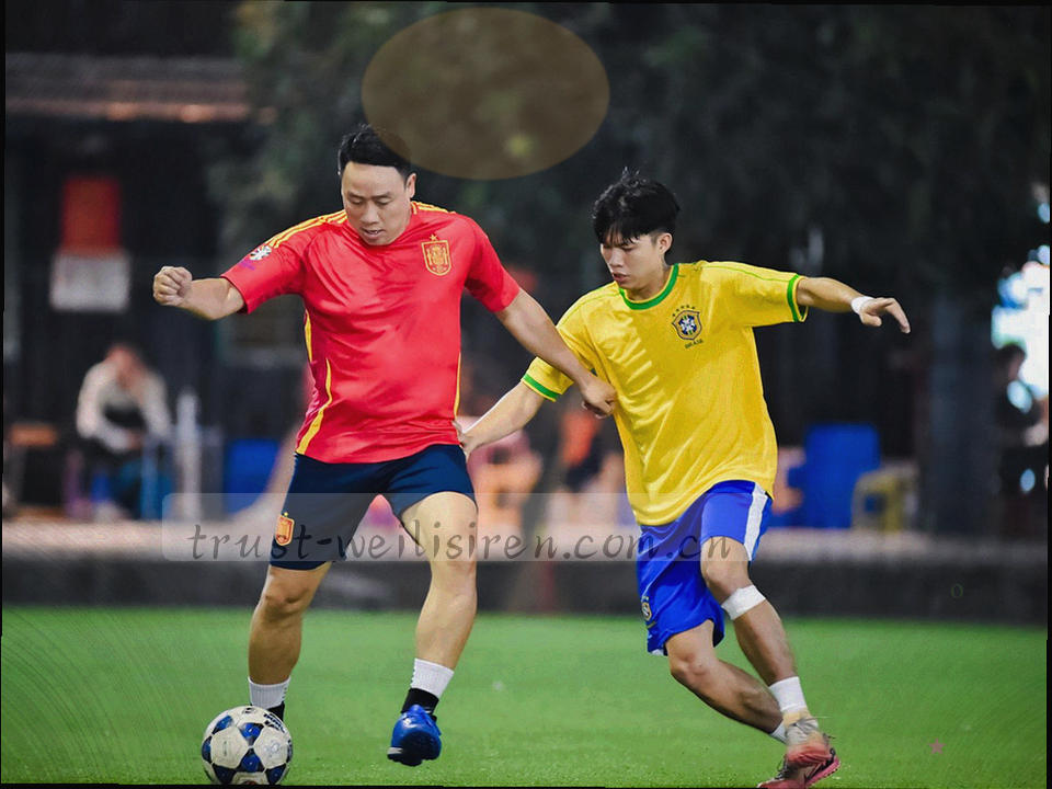 点阵密度不同的五个直角区域块，无地名标注
